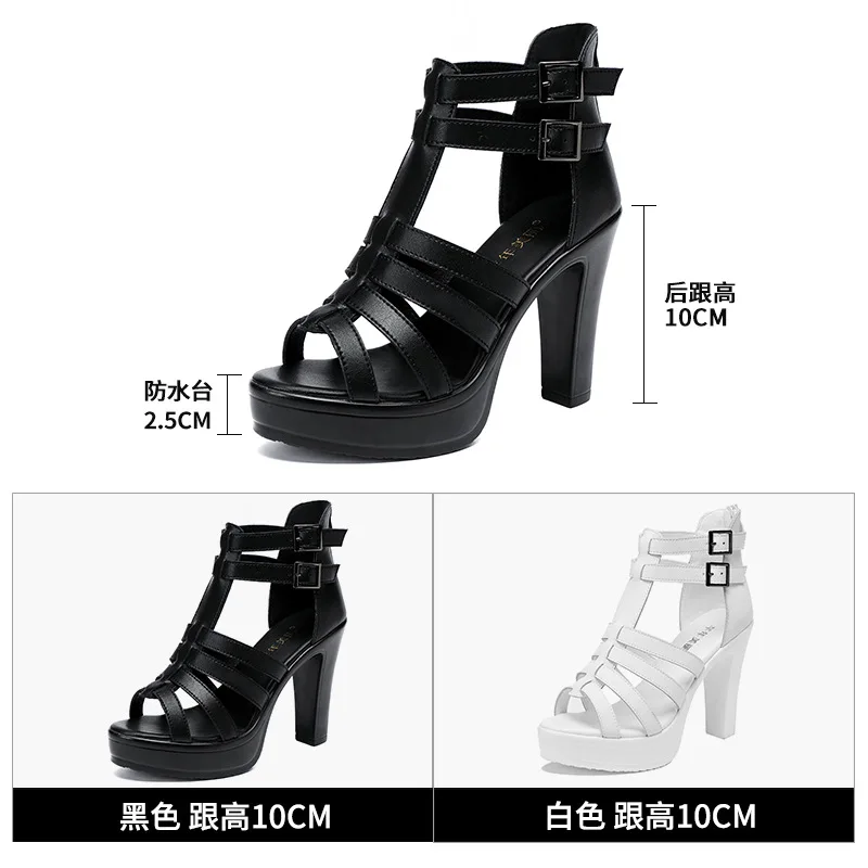 Сандалии-гладиаторы женские с  – обзор и цена Women'S Shoes Quality